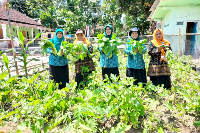 KETAN KALUNG ( Ketahanan Pangan Kecamatan Tulung )