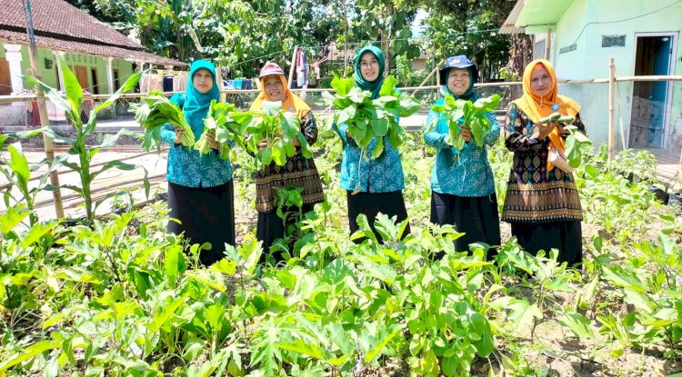KETAN KALUNG ( Ketahanan Pangan Kecamatan Tulung )