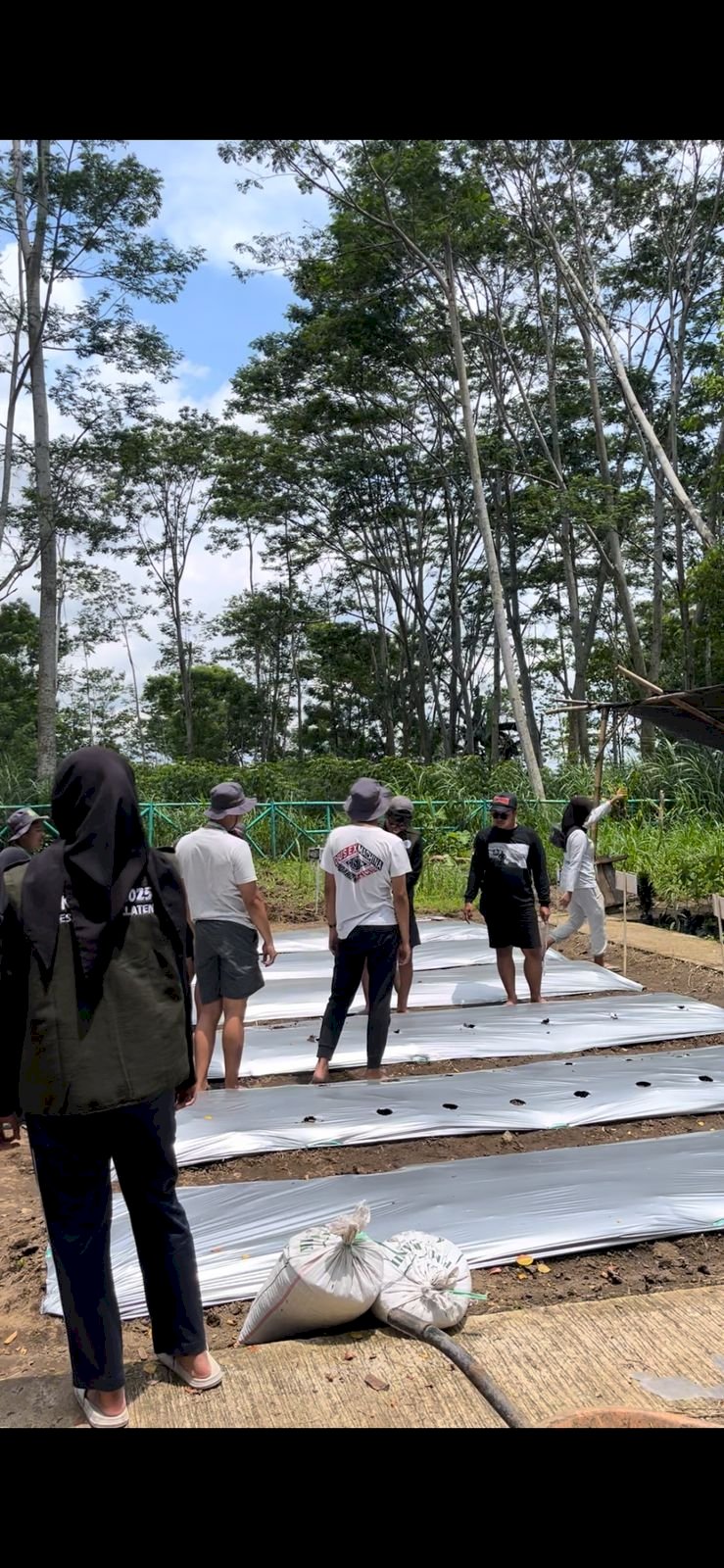 KKN UNS 56.2 DUKUNG PENINGKATAN EDUWISATA DI DESA MUNDU, KLATEN BERBASIS PERTANIAN ORGANIK